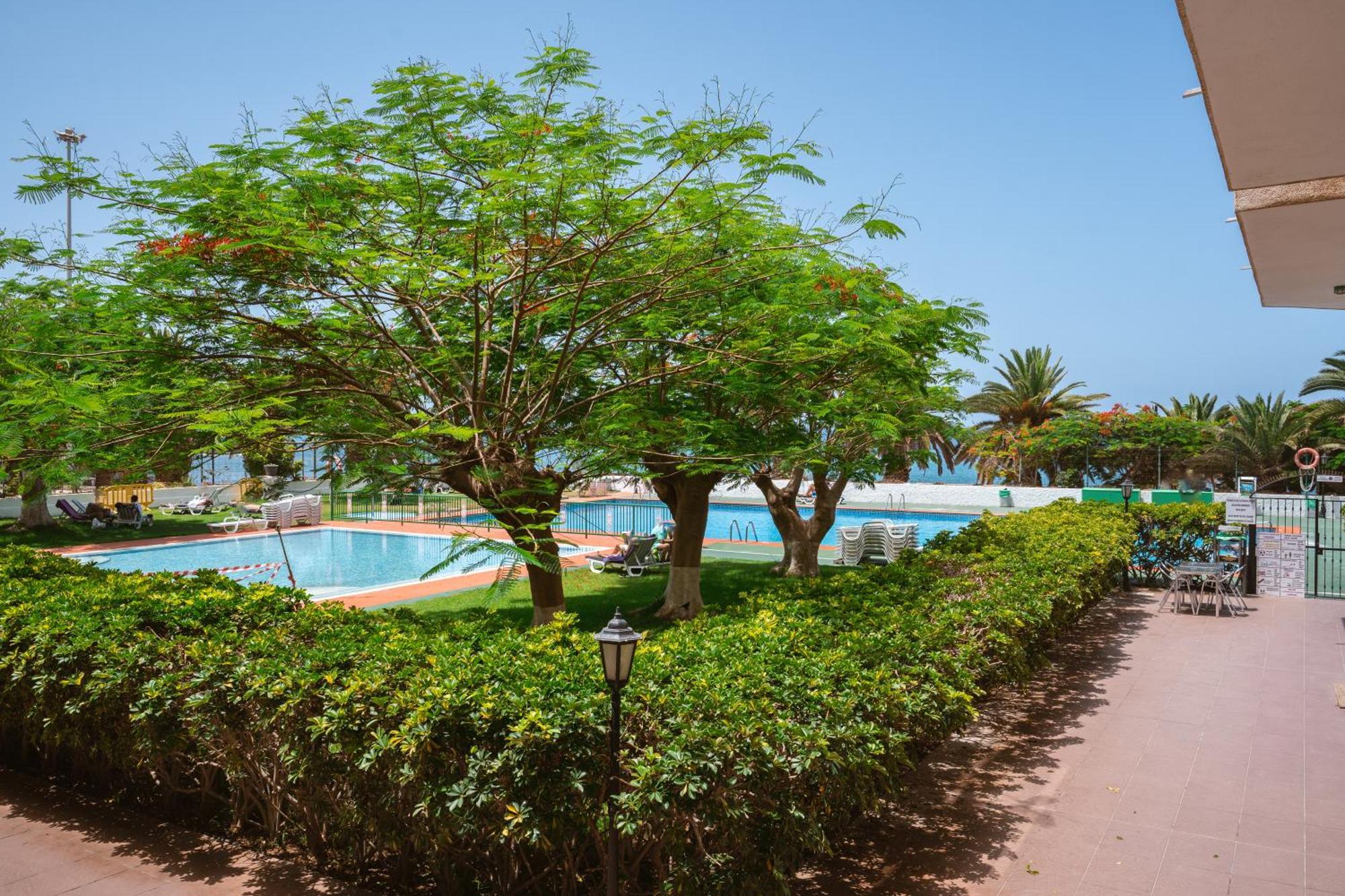 Go2Tenerife Apart'Dida Pool & First Line Of The Sea لوس كريستيانوس المظهر الخارجي الصورة